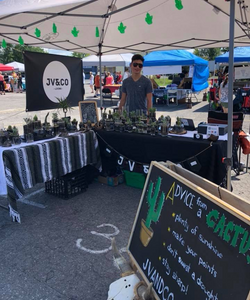 Jordan Vecchio (JV&CO) At farmers Market 